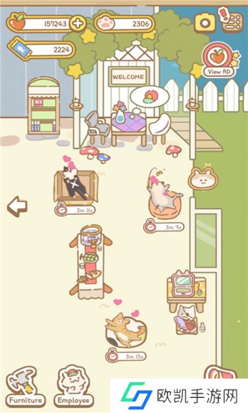 猫咪水疗中心