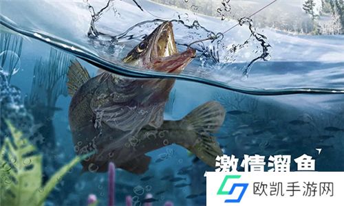 天天钓鱼游戏