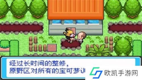 口袋妖怪去吧伊布