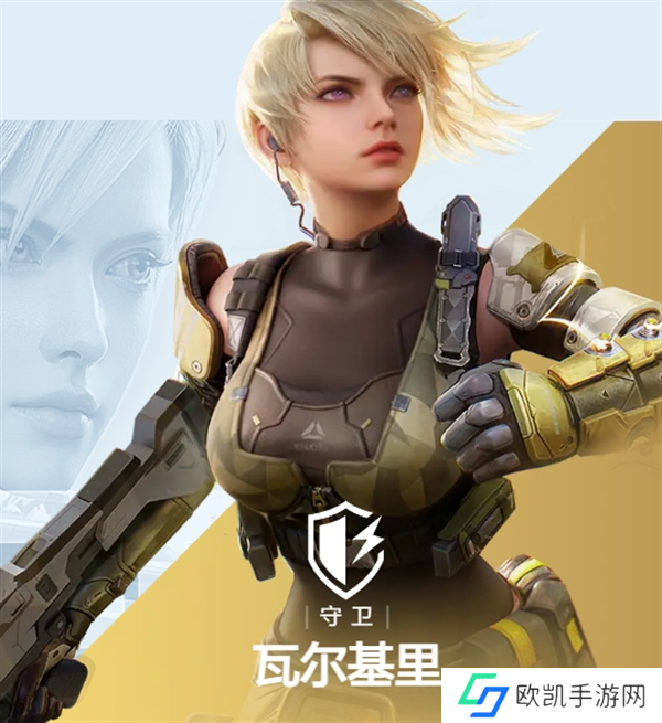 天启行动英雄图鉴大全图十二