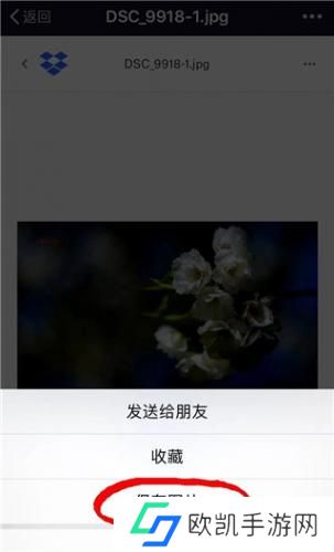 Dropbox安卓版