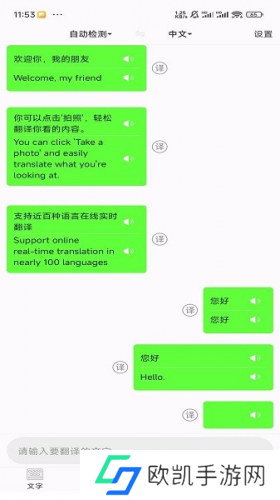 极致语言翻译器