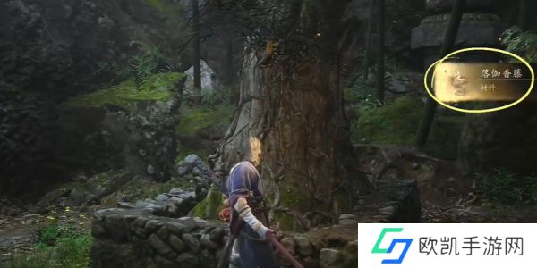 黑神话悟空落伽香藤在哪里获取 落伽香藤采集位置攻略[多图]图片1
