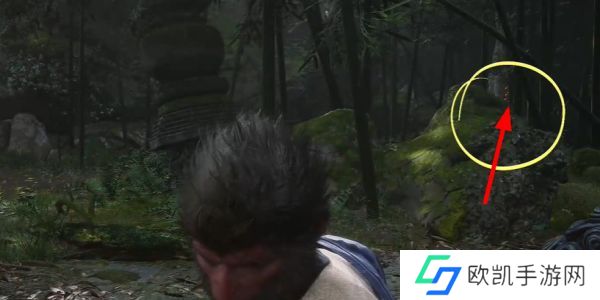 黑神话悟空落伽香藤在哪里获取 落伽香藤采集位置攻略[多图]图片6