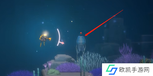 潜水员戴夫箱水母怎么抓 箱水母抓捕攻略[多图]图片1