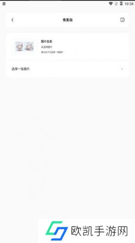 迷你兔