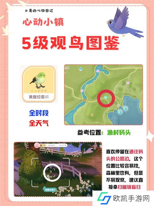 心动小镇五级观鸟详细位置整理一览