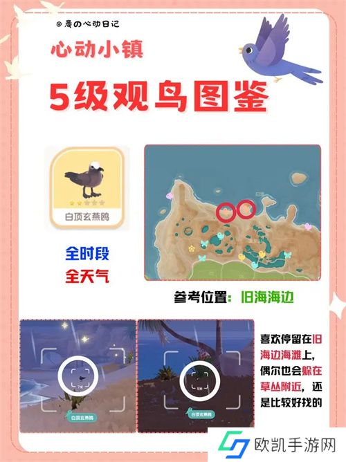 心动小镇五级观鸟详细位置整理一览