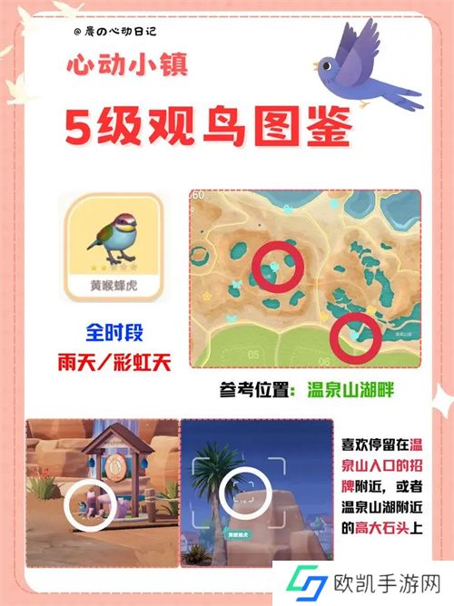 心动小镇五级观鸟详细位置整理一览