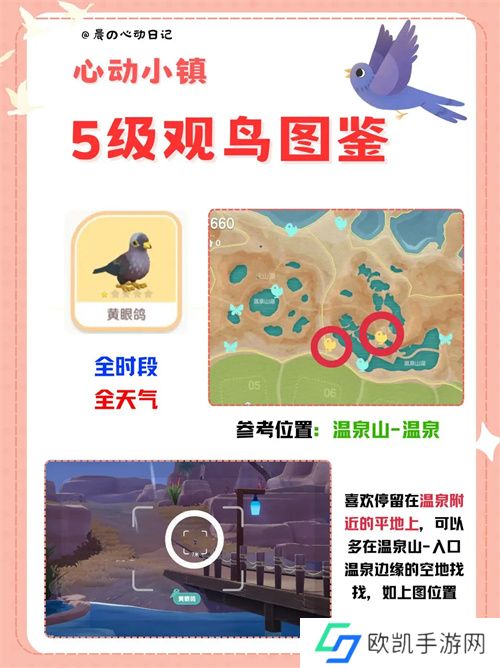 心动小镇五级观鸟详细位置整理一览