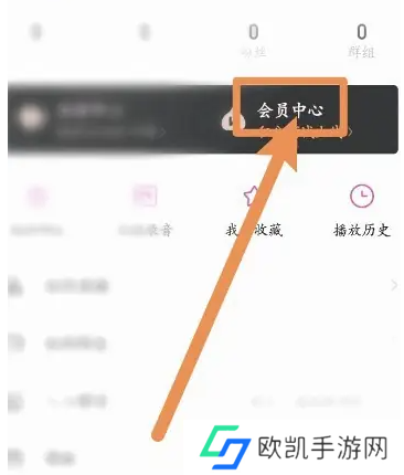 唱吧怎么开会员 开会员操作方法