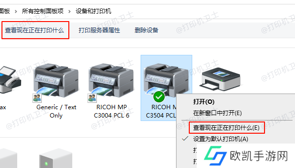 查看现在正在打印什么