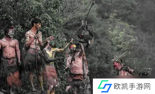 掌握力量！《动物大联盟》气功师最强装备推荐解析