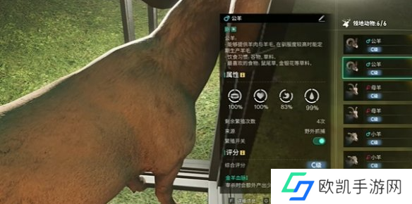 七日世界金羊毛如何获取