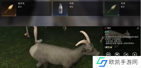 七日世界金羊毛如何获取