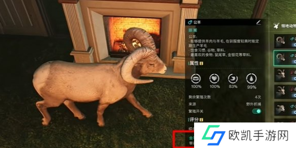 七日世界金羊毛如何获取