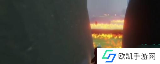 光遇秘密基地顶楼在哪