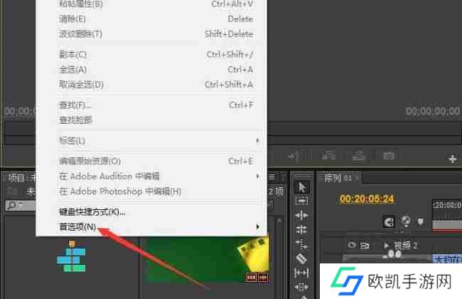 Premiere Pro怎么显示色彩管理