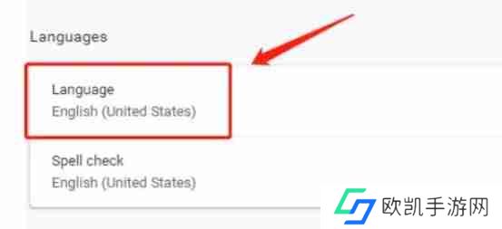 google怎么设置中文版?-google设置中文版的方法