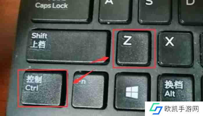 flash怎么返回上一步?-flash返回上一步的方法