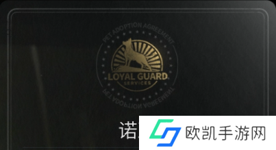 萤火突击诺亚怎么样