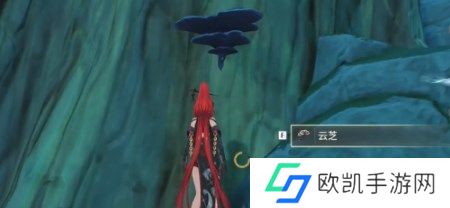 鸣潮云芝在哪里采集 鸣潮云芝采集路线攻略