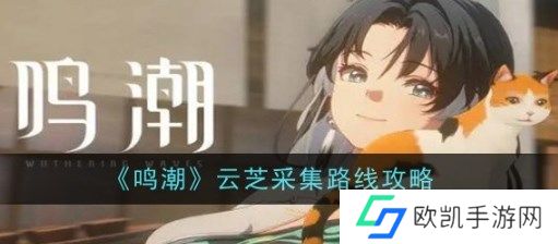 鸣潮云芝在哪里采集 鸣潮云芝采集路线攻略
