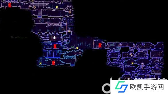 动物井蝙蝠左边房间的圆坑物品怎么放置 动物井蝙蝠左边房间的圆坑放置物品介绍