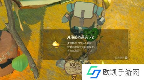 塞尔达传说王国之泪呀哈哈位置攻略 呀哈哈拯救通关流程[多图]图片5