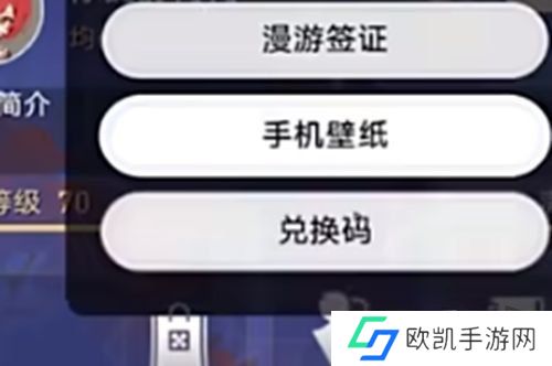 崩坏星穹铁道2.4前瞻直播兑换码在哪里 2024最新300星琼兑换码汇总分享