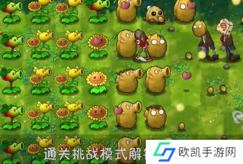 植物大战僵尸融合版冒险模式6关通关详解