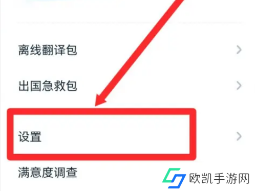 有道翻译官在哪调整翻译语速