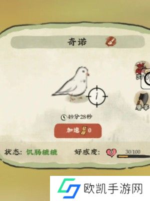 仙山小农养鸽子教程