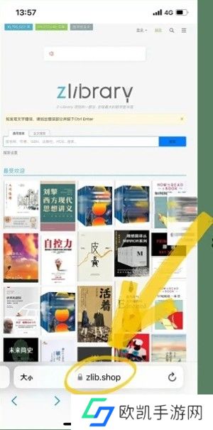 zliabary图书馆入口