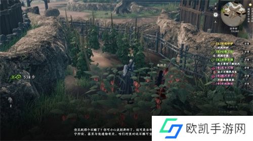 下一站江湖2法华村密藏解谜方法流程