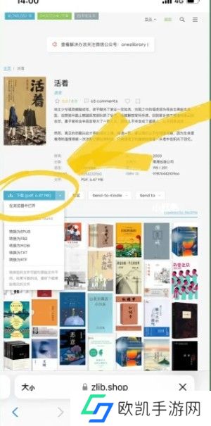 zliabary图书馆入口