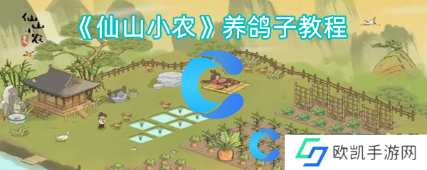 仙山小农养鸽子教程