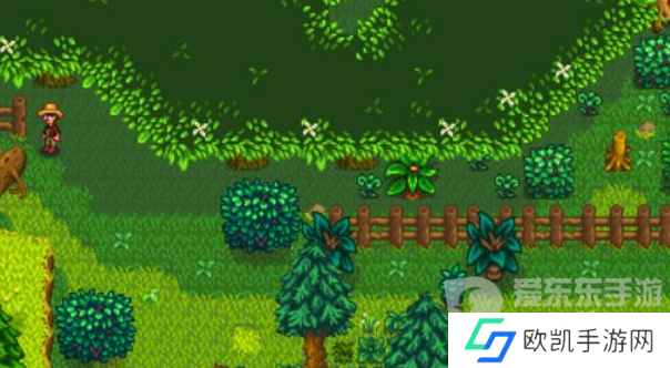 星露谷物语森林怎么解锁 森林解锁方法介绍