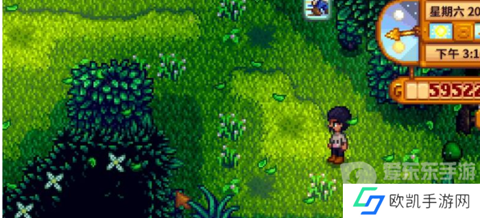 星露谷物语森林怎么解锁 森林解锁方法介绍