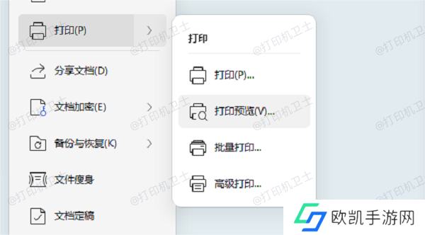 使用打印预览功能