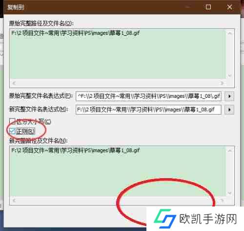 Everything怎么使用正则条件复制文件