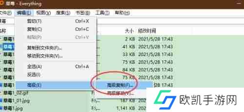 Everything怎么使用正则条件复制文件