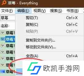 Everything怎么使用正则条件复制文件