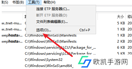 Everything如何启用运行历史