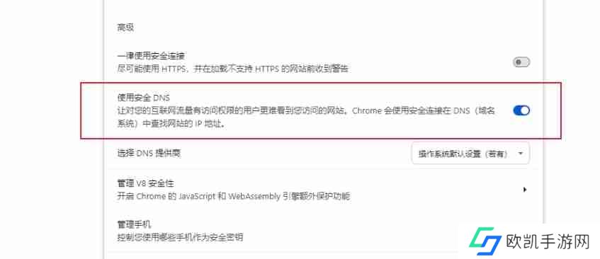 谷歌浏览器怎么配置DNS预取功能？-谷歌浏览器配置DNS预取功能的方法