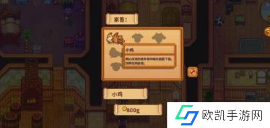 星露谷物语怎么养鸡