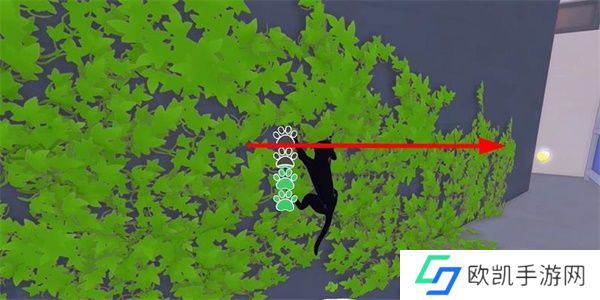 《小猫咪大城市》老虎帽收集方法