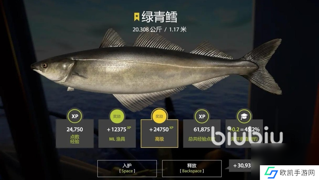 俄罗斯钓鱼4延迟高怎么解决 俄罗斯钓鱼4延迟高解决方式一览