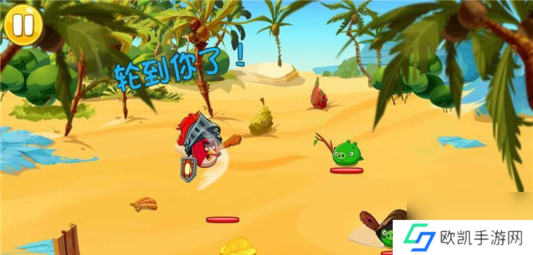 《千山飞鸟》（探索自然世界的乐趣）