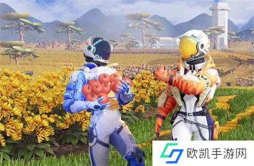 创造吧我们的星球蓝芋种子用途说明